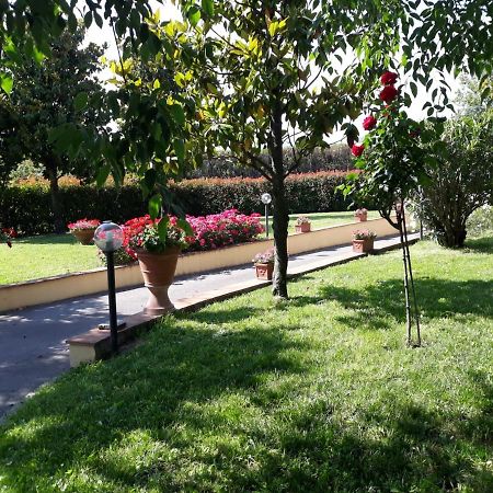 Villa Monica 皮斯托亚 外观 照片